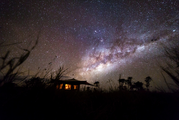 Roving Bushtops Camp: Standardzelt - Milchstraße