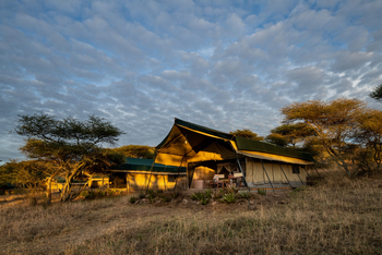 Serengeti Woodlands Camp: Executive Suite
