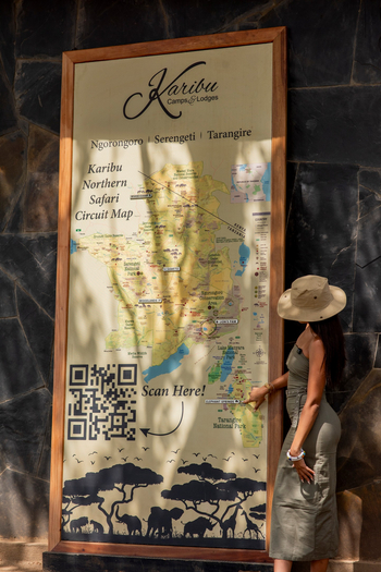 Tarangire Elephant Springs Camp: Landkarte