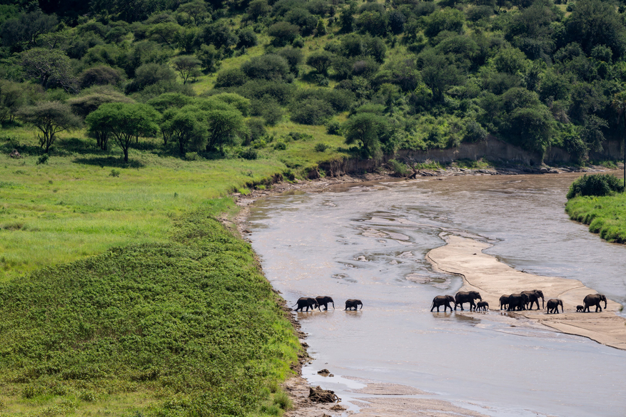 Tarangire Safari Lodge