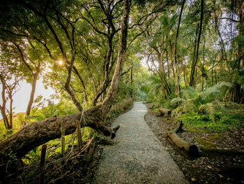 The Palm River Hotel: Weg an den Wasserfällen