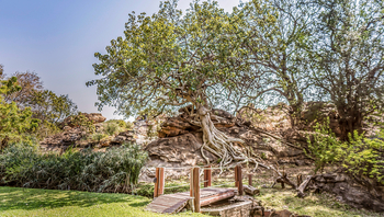 Tuli Safari Lodge Mashatu: Zierbrücke