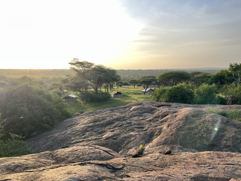 Wayo Little Green Camp: Gästezelte