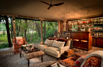 andBeyond Bateleur Camp: Bar