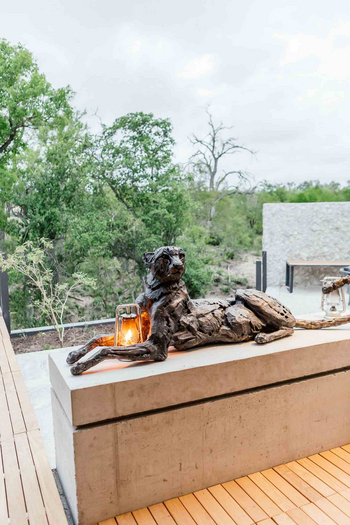 Cheetah Plains Karula House: Allgegenwärtige Kunst