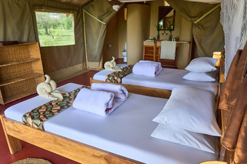 Ikoma Tented Camp: Bett mit Handtüchern und Blütenblättern