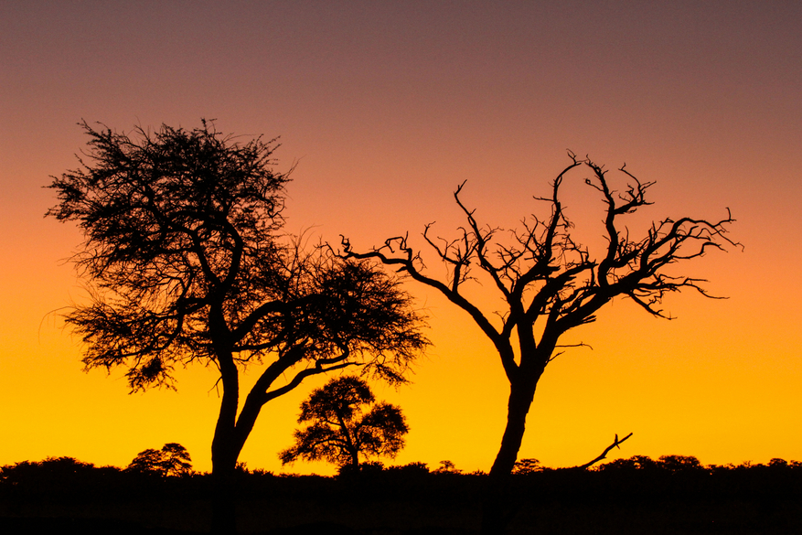 Jozibanini Camp