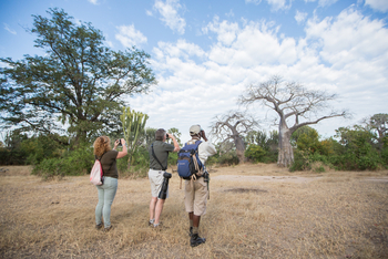 Mvuu Lodge: Walking Safari