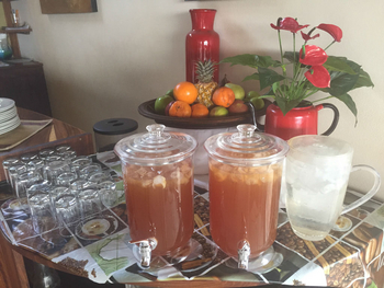 Okutala Lodge: Eistee