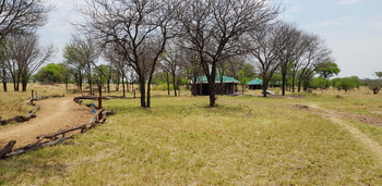 Ole Serai Camp Kogatende: Wege im Camp