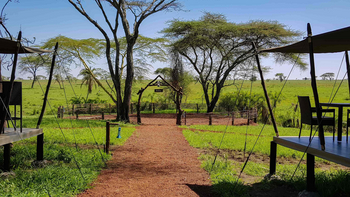 Ole Serai Camp Turner Springs: Campgelände