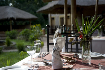 Primate Lodge: Dinner auf der Lodge-Terrasse