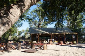 Selinda Explorers Camp Selinda Explorers Camp: Sandige Böden