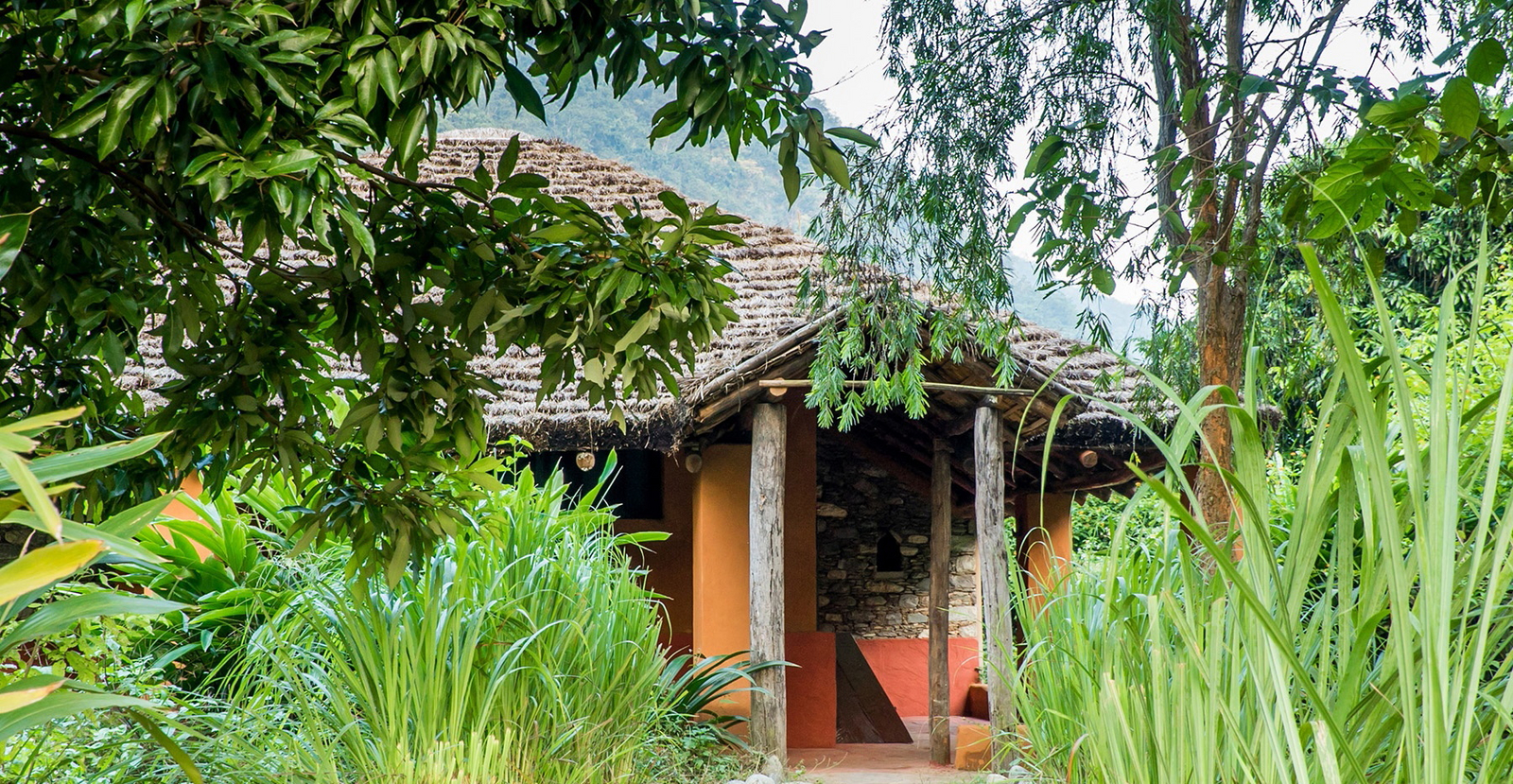 Vanghat Vanghat: Elefantengras