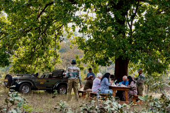 Bagh Villas: Picknick im Wald