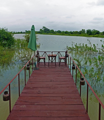 Bamboo Forest Safari Lodge: Steg am Teich