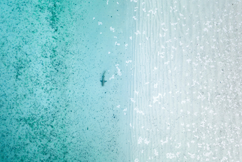 Cosmoledo Eco Camp: Riffhai