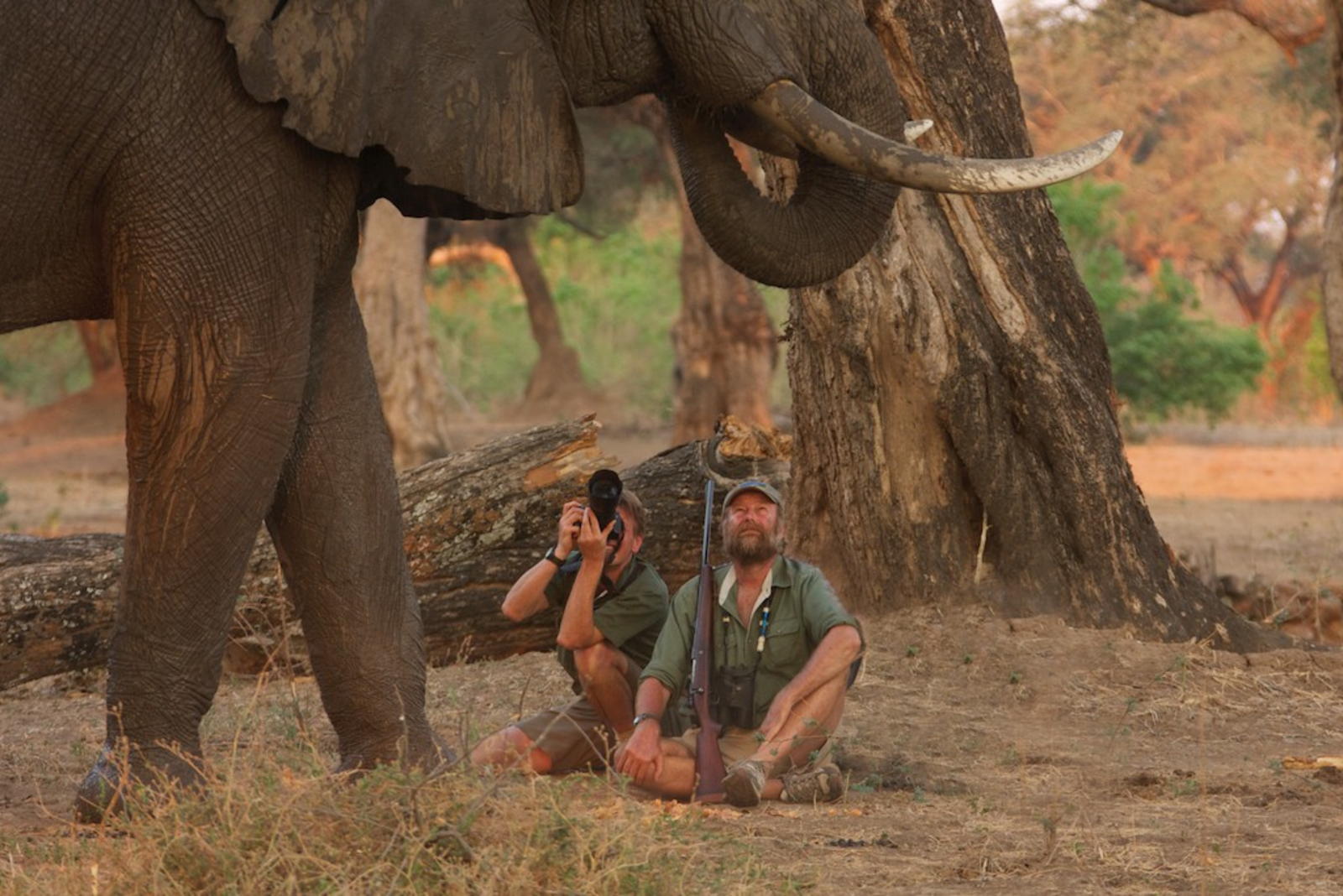 Goliath Tented Camp Goliath Tented Camp: Man kennt sich