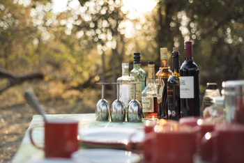 Beagle Expeditions: Bar