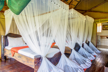 Manyara Lakeview Oasis: Standard Triple