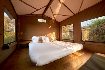 Oddball's Camp: Doppelbett