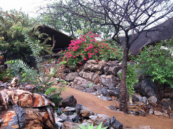 Okutala Lodge: Felsen im Garten
