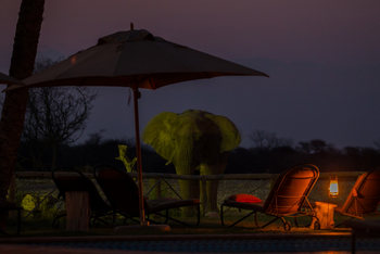 Onguma Bush Camp: Zentralbereich