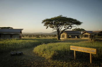 Siringit Serengeti Camp: Offen geplantes Camp
