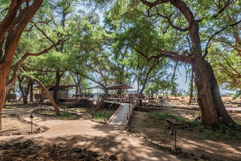 Soroi Larsens Tented Camp: Aufgang zum Beobachtungsdeck