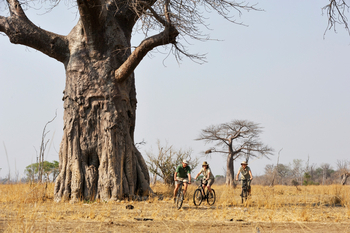 Tafika Camp: Biker und Baobab