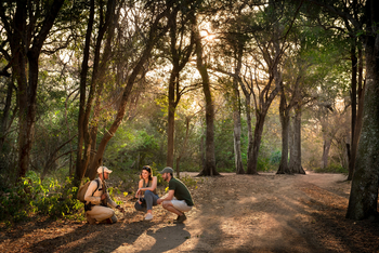 andBeyond Phinda Forest Lodge: Spurenlesen