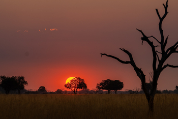 4 Rivers Camp 4 Rivers Camp: Untergehende Sonne