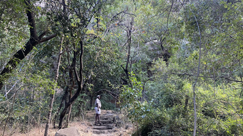 Big Cave Camp Big Cave Camp: Guide im Wald