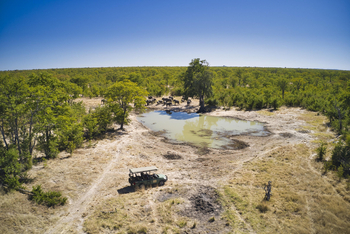 Camp Hwange: Elefanten am Wasserloch