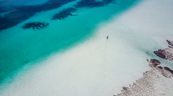 Cosmoledo Eco Camp: Flyfisher