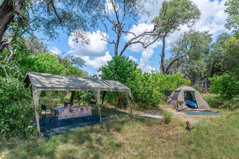 Losika Elephant Camp: Speisebereich und Zelt inmitten üppigen Busches