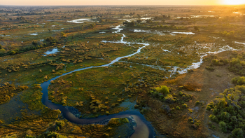North Island Okavango Camp North Island Okavango Camp: Sumpflandschaft