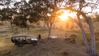 Okavango Explorers Camp Okavango Explorers Camp: Bush Dinner