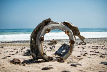 Shipwreck Lodge: Wracks entlang des Ufers