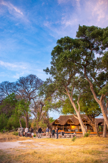 Splash Camp: Hauptgebäude unter Bäumen