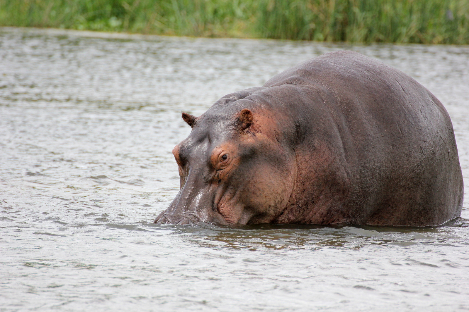 Murchison River Lodge Murchison River Lodge