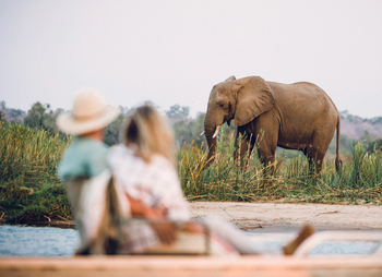 Classic Zambia Safaris Classic Zambia Safaris: Elefantenbulle