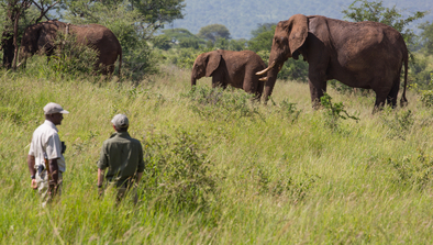 Elewana Tarangire Treetops: Bush Walk