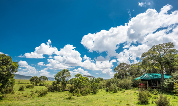 Losokwan Luxury Tented Camp: Camp unter blauem Himmel