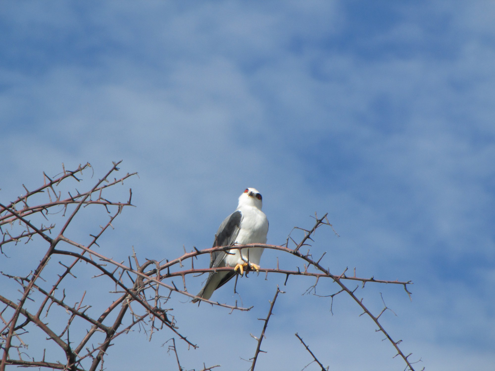 Namutoni Camp Namutoni Camp: Gleitaar