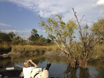 Ntemwa Busanga Bushcamp Ntemwa Busanga Bushcamp: Seltener Vogel