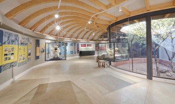 Ongava Reserve: Science Center Exponate