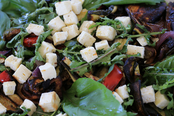 Richard's River Camp: Küche