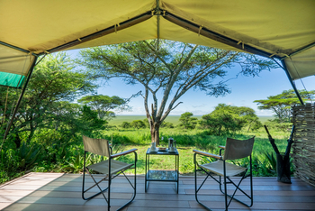 Serengeti Woodlands Camp: Executive Family Suite