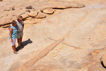 Spitzkoppen Lodge: Felsgravuer